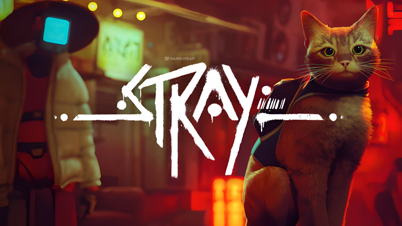 Stray